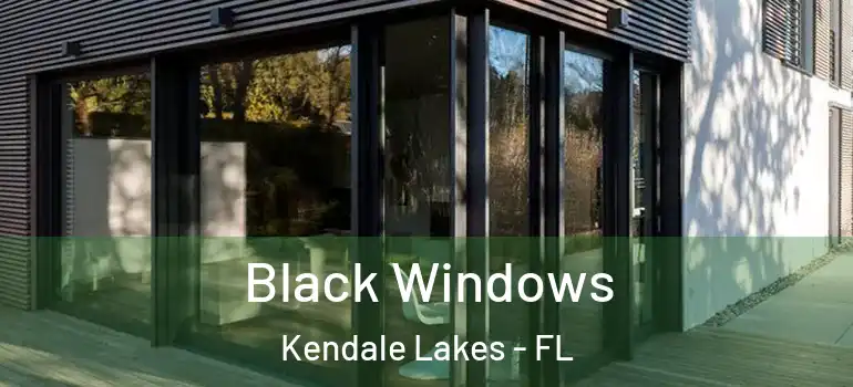  Black Windows Kendale Lakes - FL