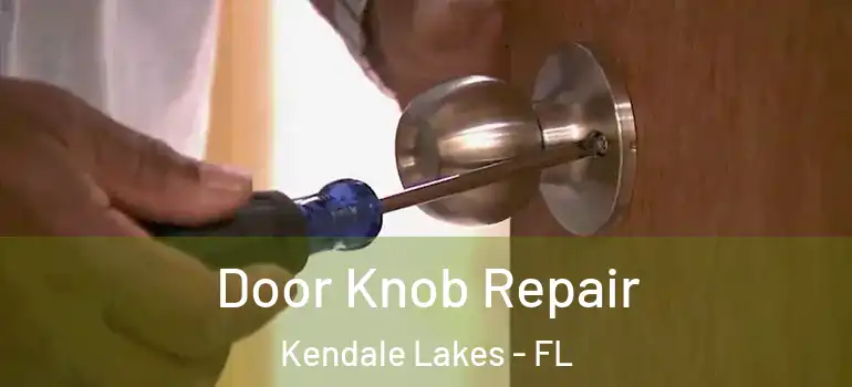  Door Knob Repair Kendale Lakes - FL