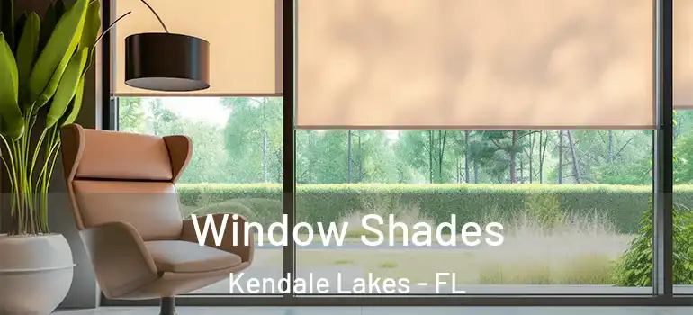  Window Shades Kendale Lakes - FL